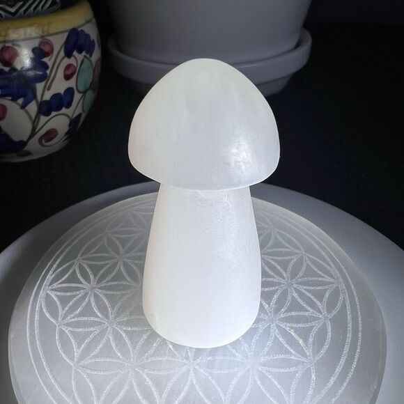 Selenite Crystal Mushroom Carving‎ - Picture 5 of 12
